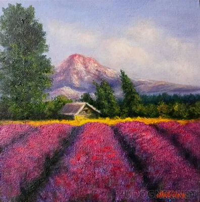 Картина Лаванда. Размеры: 25x25, Год: 2023, Цена: 1700 рублей Художник  Журавлева Ирина Владимировна