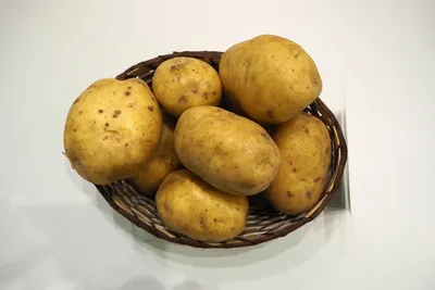 Мерлот - картофель. Характеристики и отзывы