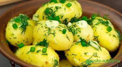 На пике популярности – картофель с цветной мякотью