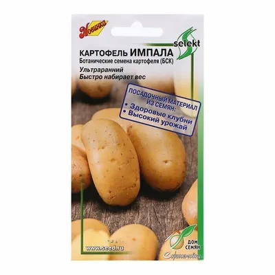 Картофель белая роза — купить по низкой цене на Яндекс Маркете