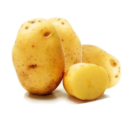 Популярные сорта картофеля для посадки в Украине — интернет магазин товаров  для сада и огорода Лето 🌿