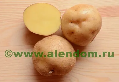 Картофель метеор отзывы вкусовые качества Огород без хлопот - информа | сад  и в огороде | Постила
