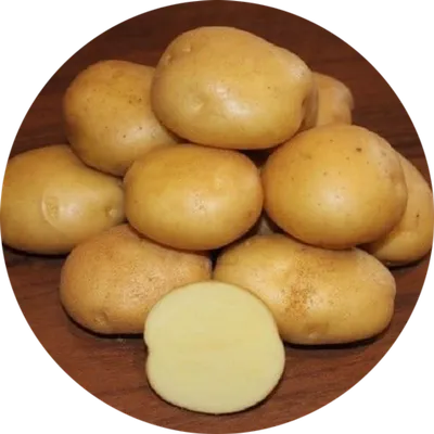 Картофель семенной Метеор (2 кг) | Фасовка по 2 кг - biudmarket.ru