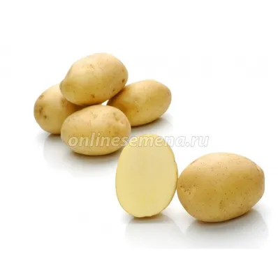 Выращивание картофеля в мешках - Agro-Market24