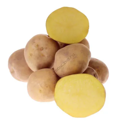 Картофель семенной Метеор, 3 кг