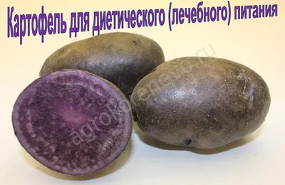 В Подмосковье в 2021 году увеличили объемы сбора картофеля - В регионе -  РИАМО в Подольске