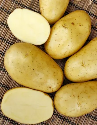 Картофель семенной Гала среднеспелый желтый 1 кг