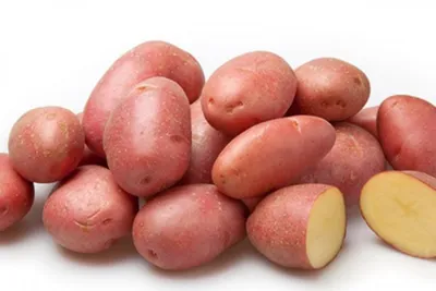 Семенной картофель Розара (порция 500 г)