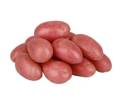 Семенной картофель Фаворит 2 кг - купить в Москве, цены на Мегамаркет