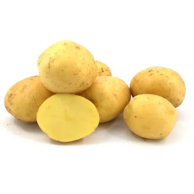Картофель Престиж семена Картофель - купить по выгодным ценам в  интернет-магазине OZON (860607305)