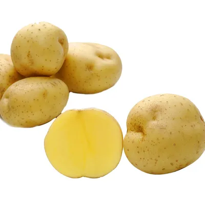 Семенной картофель сорта Бернина, Германия (ID#117503247), купить на Deal.by