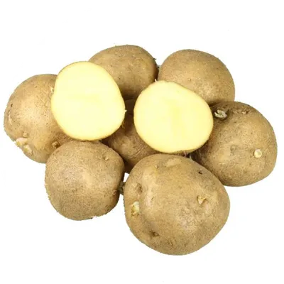 Семенной картофель Лидер (2кг, элита) - интернет-магазин СеДеК