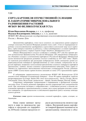 Семенной картофель – Одерихино