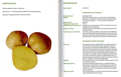 Сорта картофеля – описание, фото, характеристика, лучшие, ранние, белые  сорта