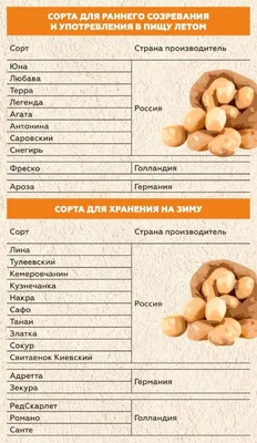 Картофель в опасности
