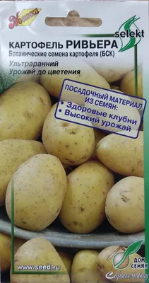 Как правильно жарить картошку: пошаговая инструкция с советами шеф-поваров