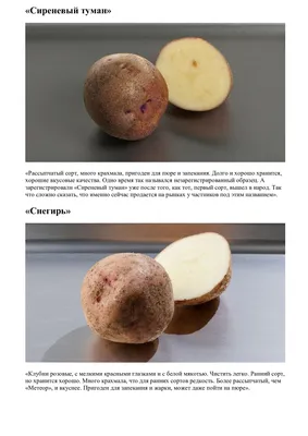 Картофель в Воронеже - Бабяково