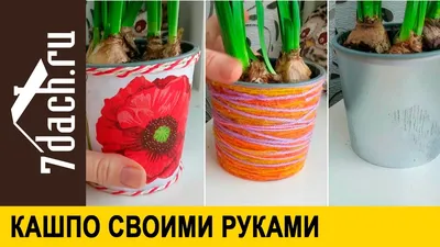 Горшок для цветов своими руками (83 фото): инструкция как сделать из  дерева, глины, цемента, гипса, бетона, пластиковой бутылки