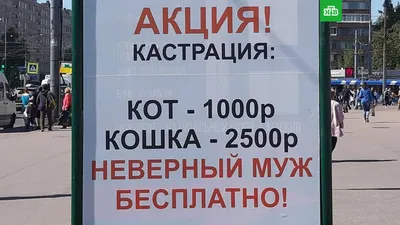 5 типов женщин, которые психологически кастрируют своих мужчин | Личный  блог психолога Саши Строгоновой