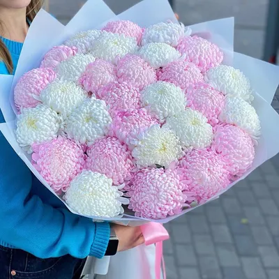 Купить «Букет из розовых хризантем», каталог «Букеты с хризантемами» в  Королёве - «Ameli» - Интернет магазин цветов в Королеве.