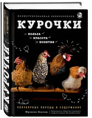 Курочки. Популярные породы и содержание. - интернет магазин Подворье