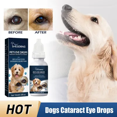 Капли для глаз для собак и кошек, 20 мл | AliExpress