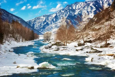 река Катунь зимой. Республика Алтай - YouTube