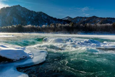 Алтай, речка Катунь, зима, ясное …» — создано в Шедевруме