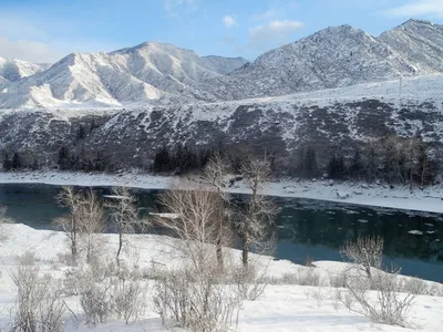 Куда поехать зимой на Алтае | Большая Страна