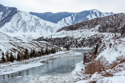 ТОП мест в Чемале зимой: что посмотреть, фото - Подари Алтай