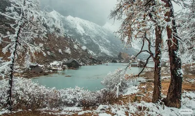 Чудо Рождественского Алтая (5 дней + авиа) - Экскурсионные туры на Алтай