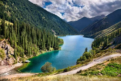 Природа Казахстана. Ландшафты, климат, флора и фауна