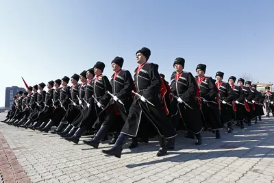 Кубанские и донские казаки примут участие в параде Победы в Москве -  Российская газета