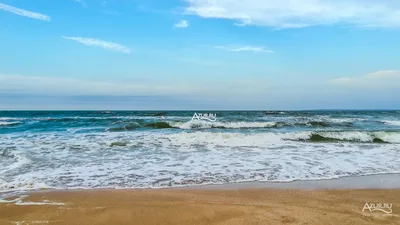 Казантипский залив - отдыхаем на шикарном пляже | Крым, Керчь | Бархатный  песок и почти нет туристов - YouTube