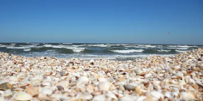 Фотогалерея Дикие пляжи Казантипского залива в Щёлкино и Ленинский район |  Фото на сайте Azur.ru