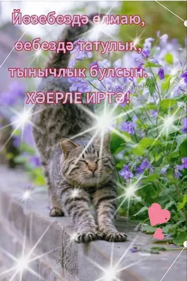 Хәерле иртә, райондашлар!