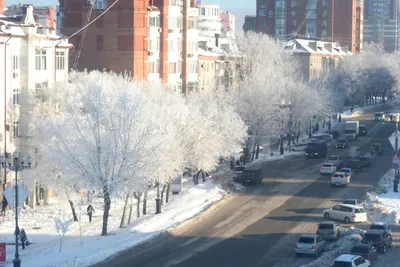 Хабаровск зимой фото фотографии