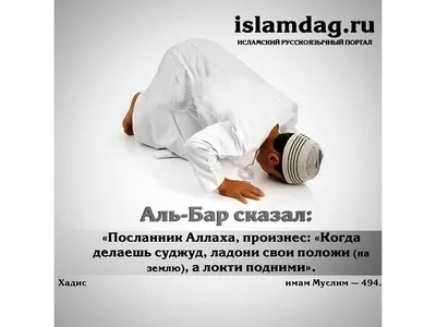 Исламские открытки | islam.ru