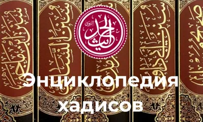 Ислам. Коран. Родители | Важные цитаты, Ислам, Коран