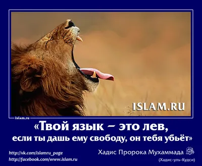 Исламские Картинки ○ Islamic Pictures © | ВКонтакте