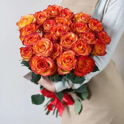 Роза чайно-гибридная Хай Меджик, купить саженцы розы чайно-гибридной хай  меджик в Москве в питомнике недорого!