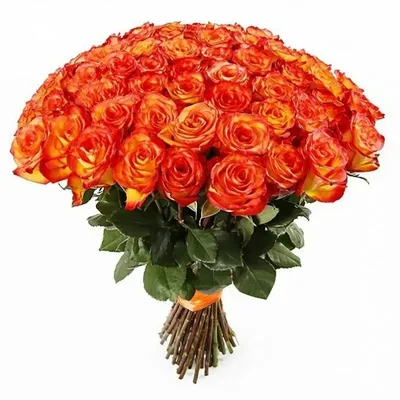 Купить 15 сортовых роз хай меджик 50 см в оформлении с доставкой в  Санкт-Петербурге