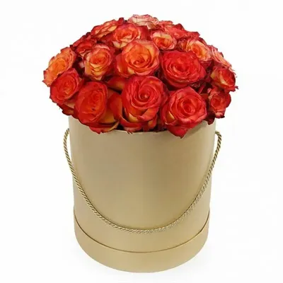 Букет купить букет 51 роза хай мэджик с доставкой по Москве и Московской  области | FlowerGett