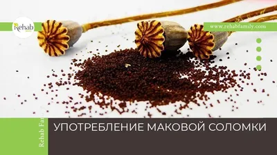 Раньше героин, а сейчас - соли для ванн\", - эксперты о популярных наркотиках  в Алматы