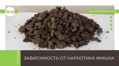 Наркотик Ханка. Эффект и последствия от наркотика Ханка. Ханка – один из  самых известных кустарных наркотиков, имеющий еще названия «жмых» и  «опиуха».... | By Институт практической медицины | Facebook