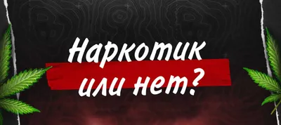 Полицейские изъяли в багажнике автомобиля приморца 52 кг марихуаны -  goldenmost.ru