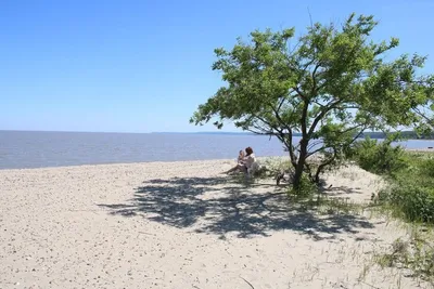 https://www.bbc.com/russian/russia/2012/06/120619_voronezh_poppyseed