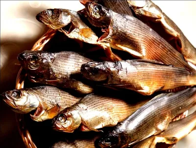 Фото ловли рыбы хариус: рабалка на хариуса на малых реках