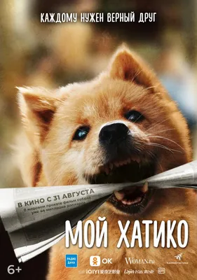 Щенок Хатико | Пикабу