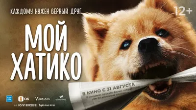 Верный пёс Хатико: символ преданности на станции Сибуя | Nippon.com